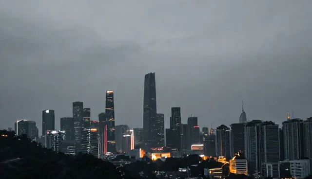 技术转让中的团队协作如何影响性能表现